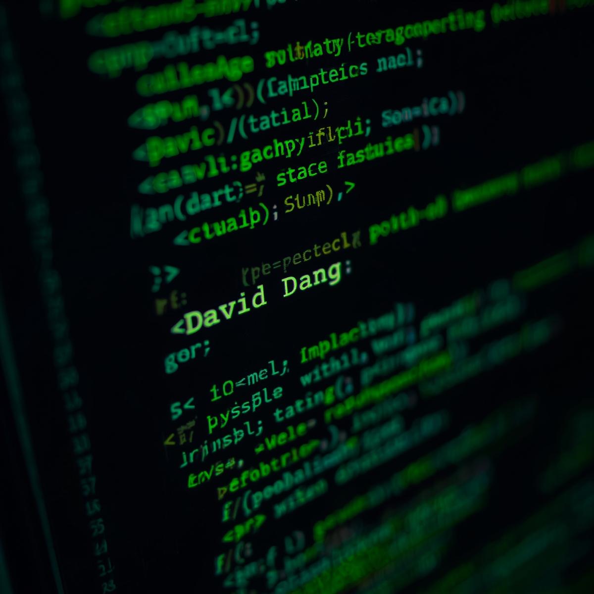 ảnh code mã có chữ David Dang